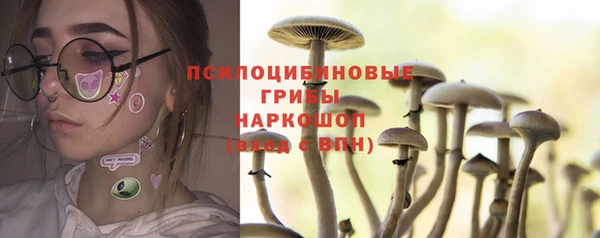 гашик Вязники