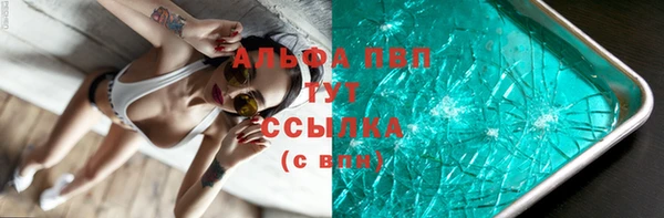 гашик Вязники