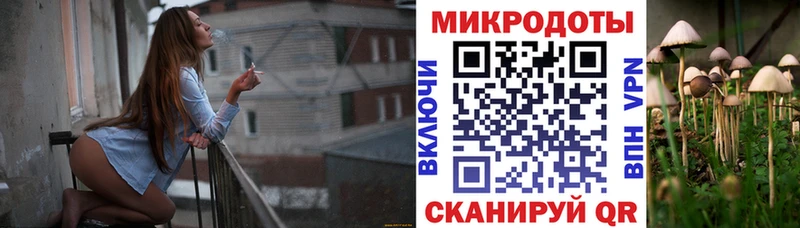 kraken ONION  Псков  Галлюциногенные грибы прущие грибы 